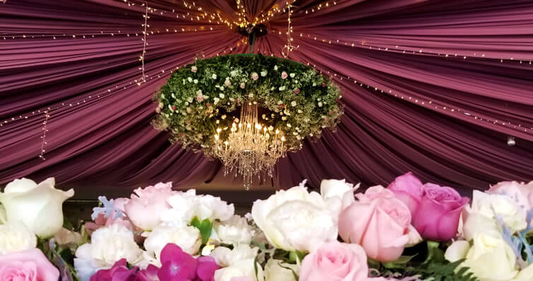 Entelados para boda y eventos